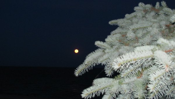 Вид на Азовское море с балкона номера в пансионате Радуга.