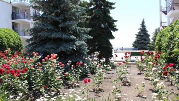 Территория пансионата Радуга.