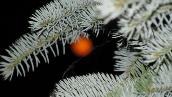 Вид на Азовское море с балкона номера в пансионате Радуга.