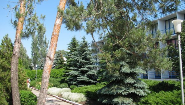 Зеленые насаждения пансионата Радуга.