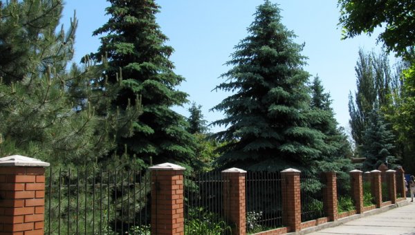 Дорожка вдоль территории пансионата Радуга.